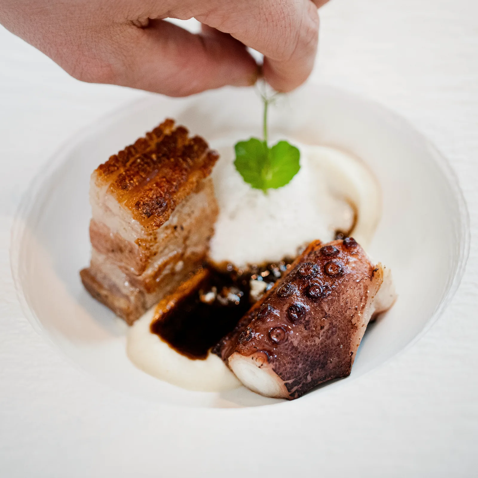 Knuspriger Schweinebauch mit Jus und Apfelpüree auf weißem Teller