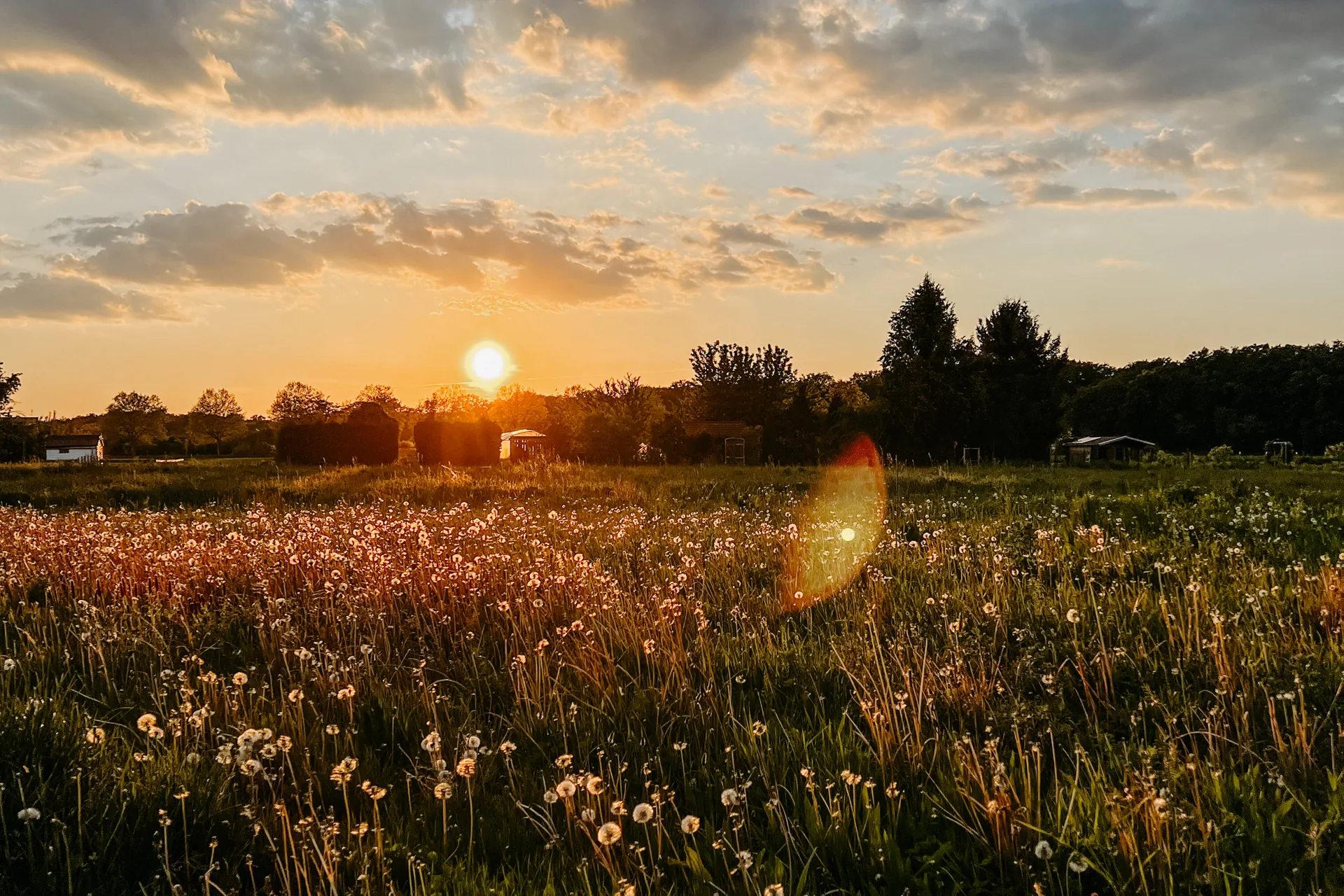 Sonnenuntergang über den Feldern bei Herxheim-Hayna