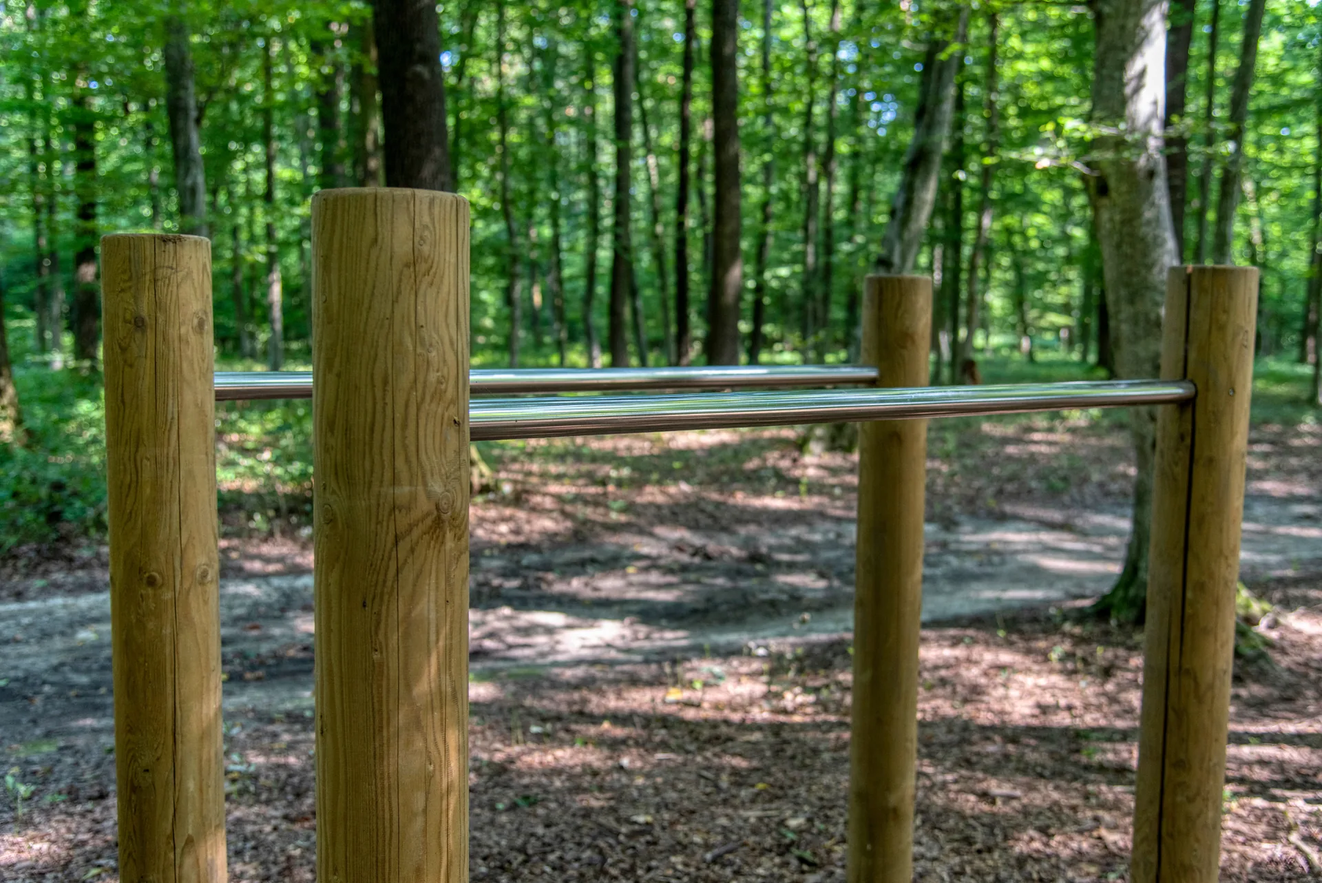 Holzpfosten mit Edelstahlstangen auf einem Trimm-Dich-Pfad im Wald bei Hayna