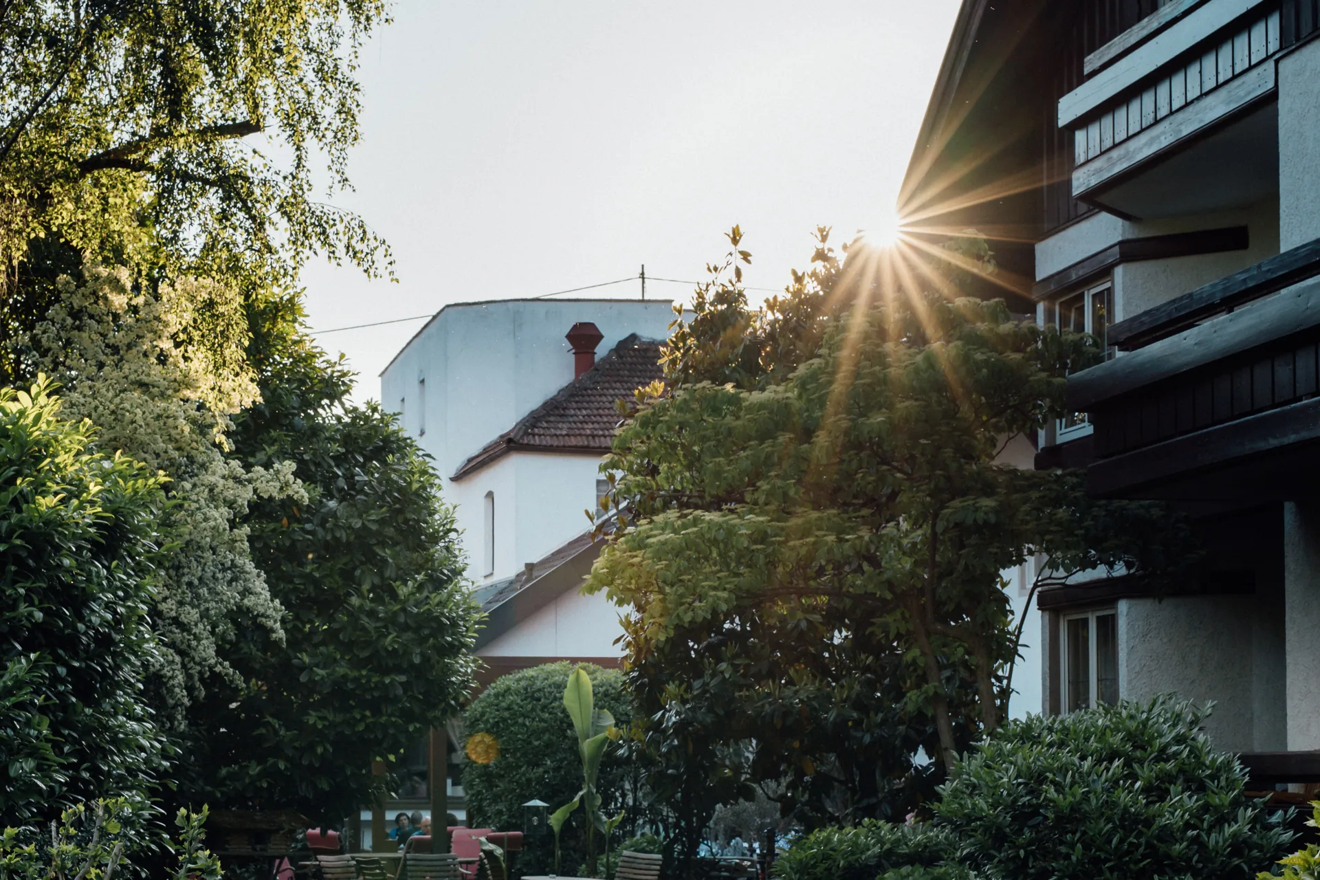 Weg zum Hotel Krone zwischen Hecken in der Abendsonne