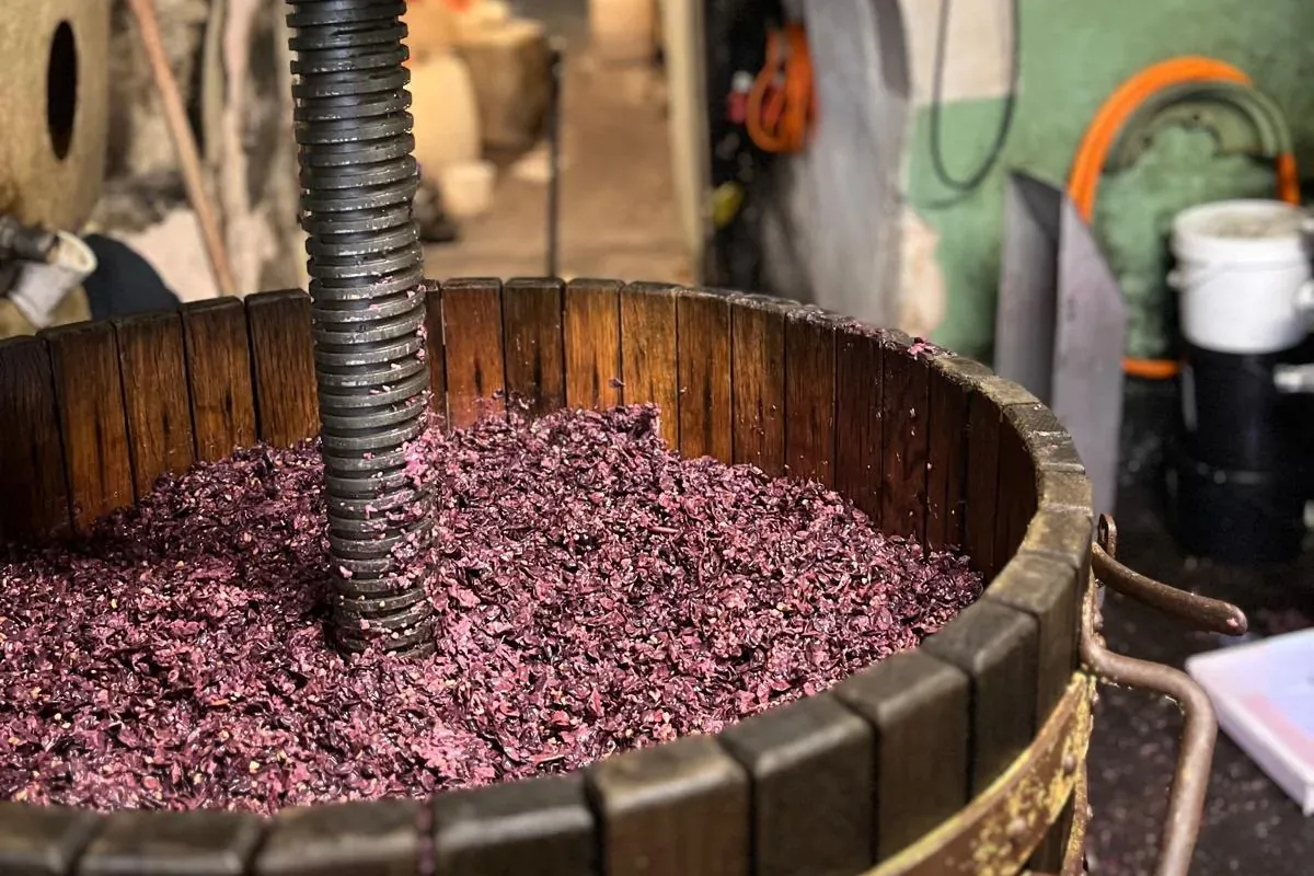 Alte Korbpresse mit roter Traubenmaische im Keller des Weinguts Gebrüder Bart in Bad Dürkheim