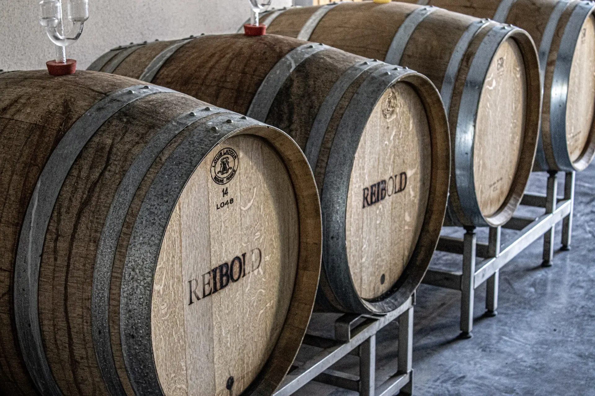 Barriques mit dem Schriftzug Reibold im Keller des Weinguts in Freinsheim